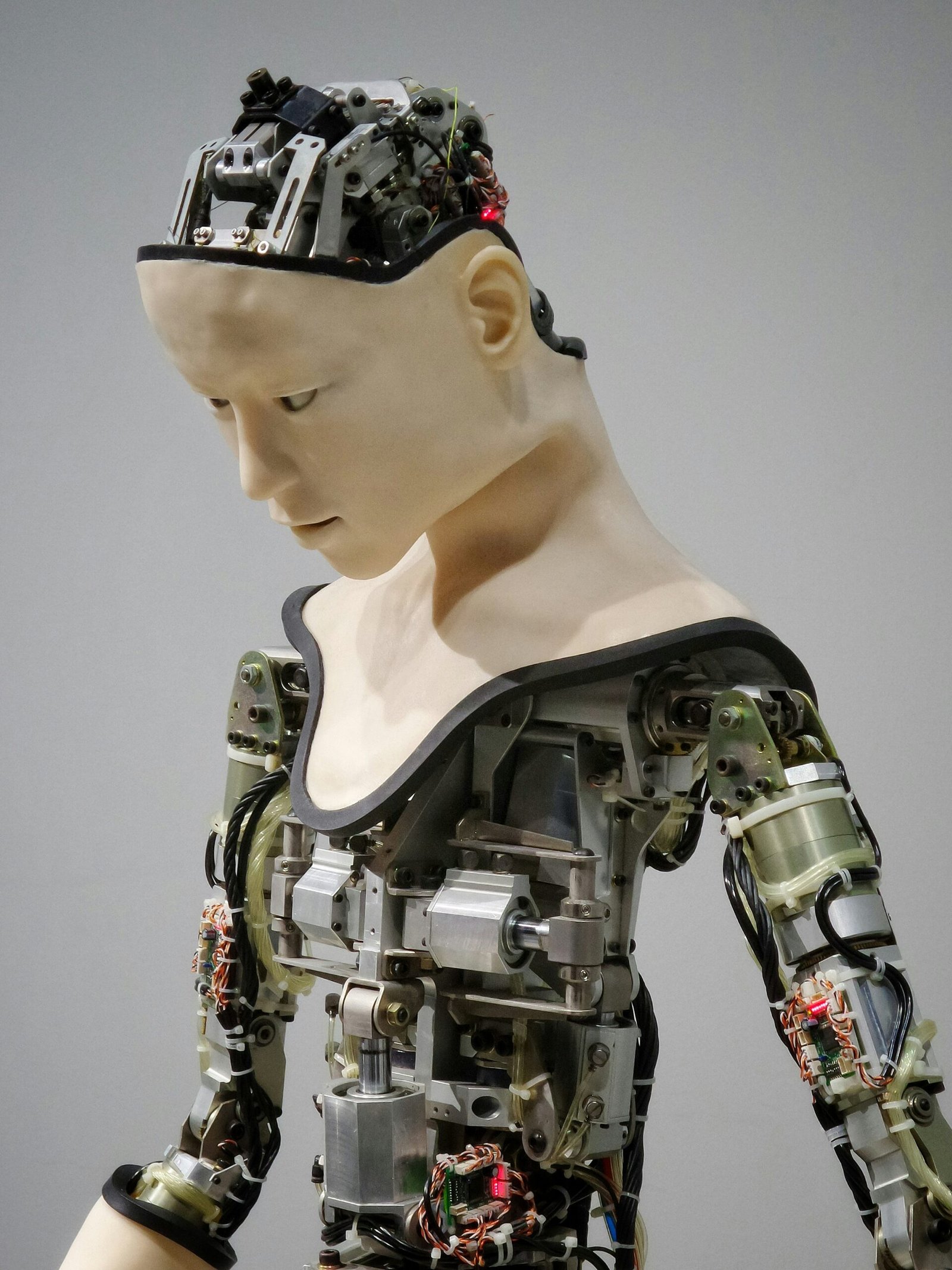 white and brown human white and brown human robot illustration