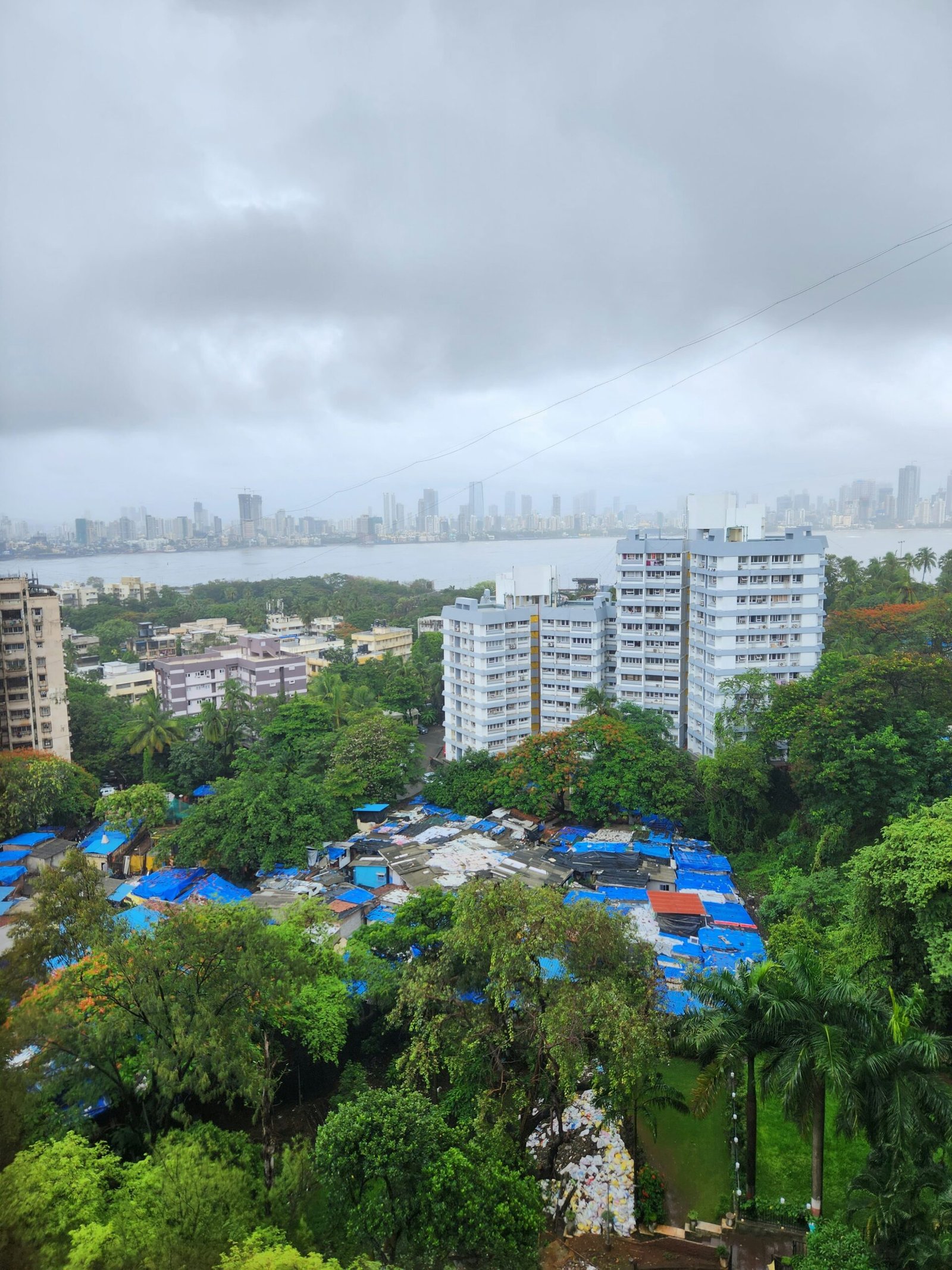 a view of a a view of a city with lots of trees and buildings